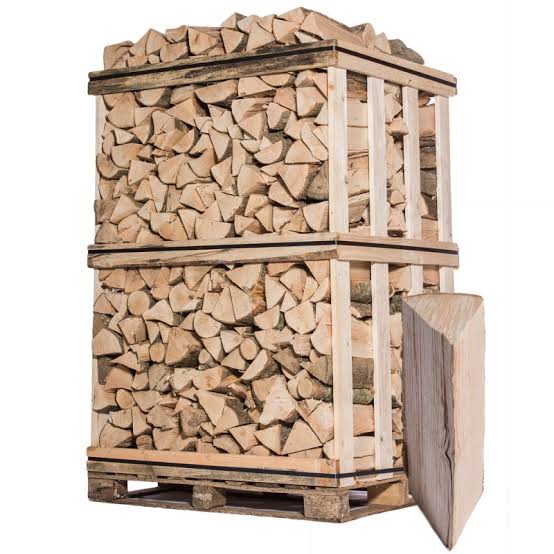 Bouleau Sec Format 33 cm